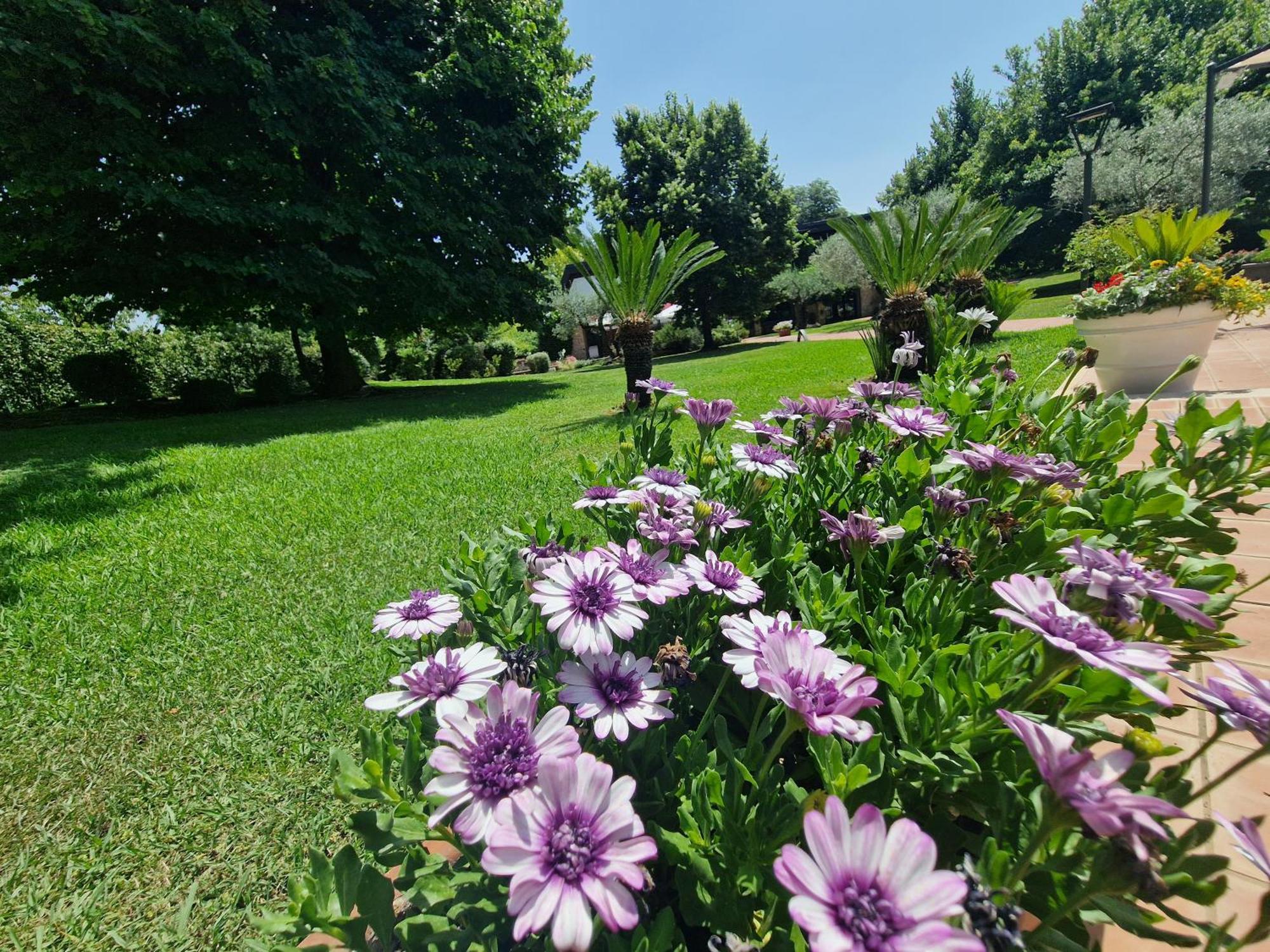 B&B Villa Sbaraglia Alatri Exterior photo