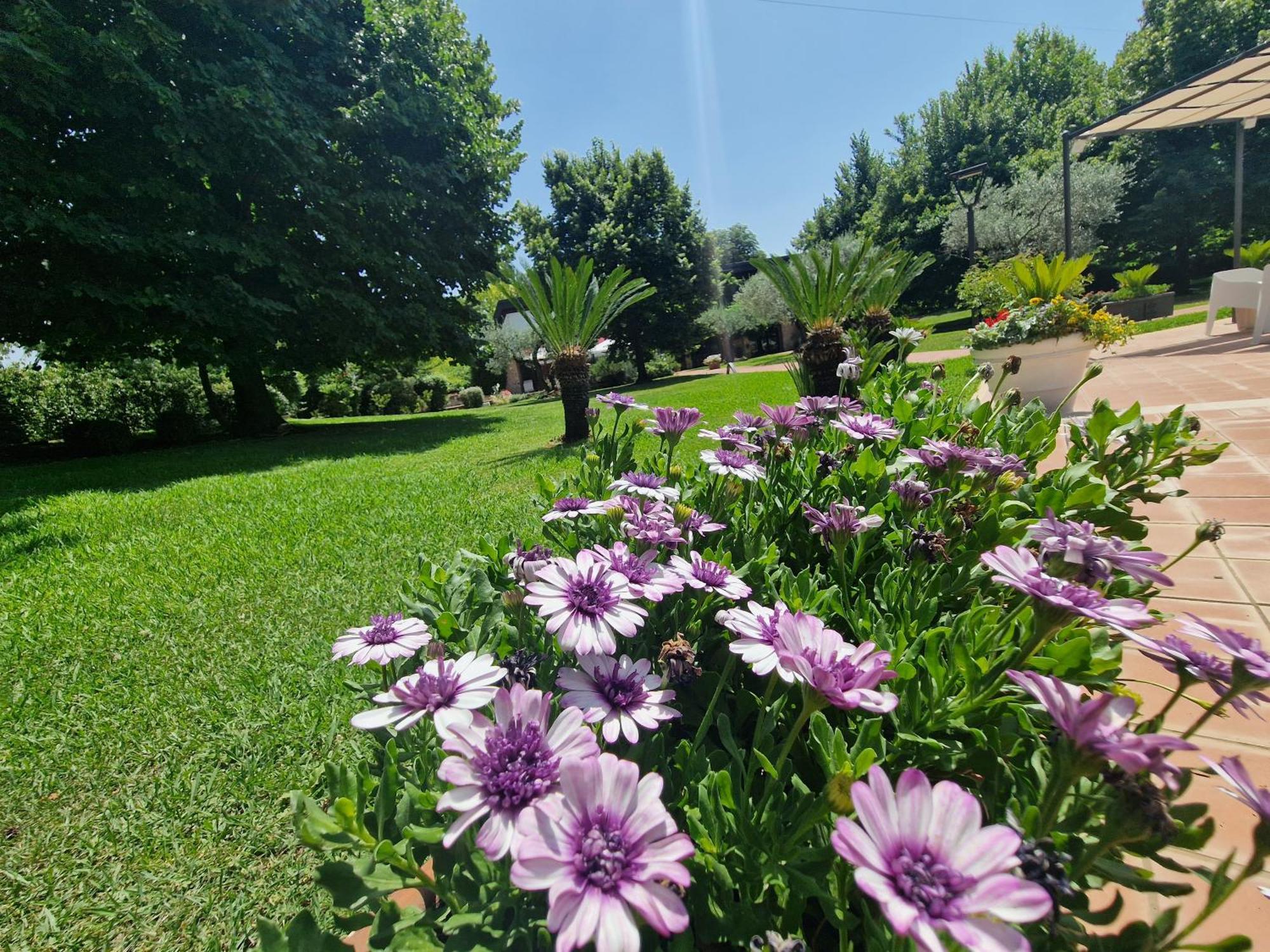 B&B Villa Sbaraglia Alatri Exterior photo